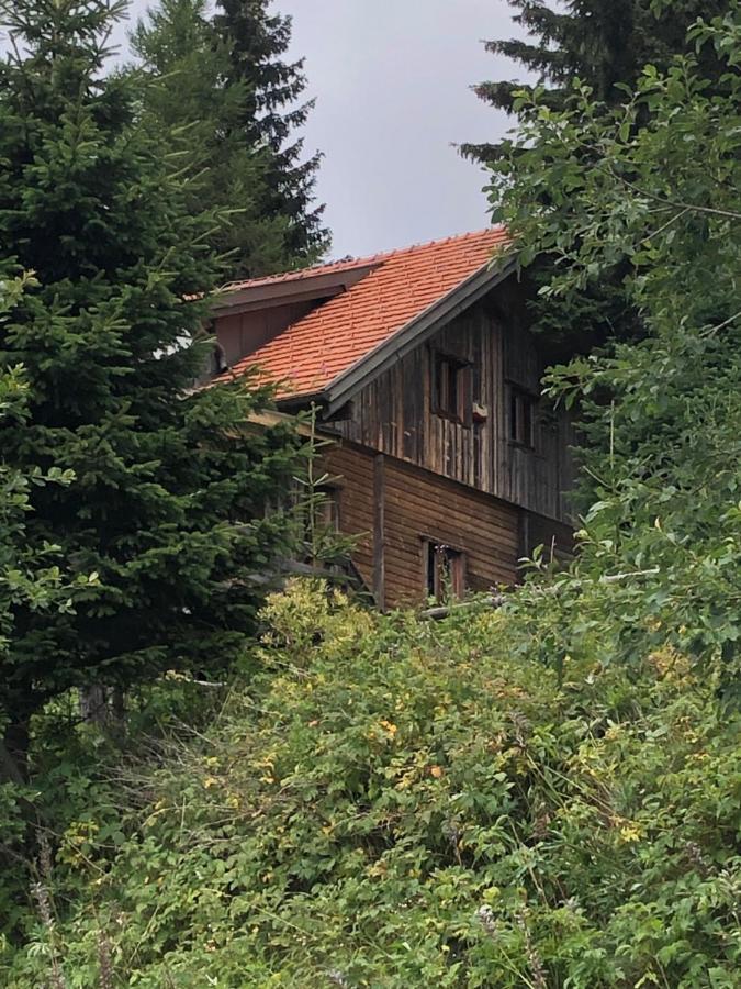 Haus Hanna Wolfsberg Exterior foto